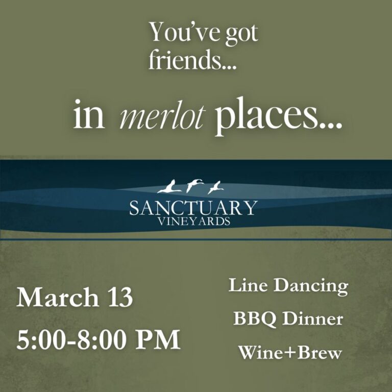 sanctuary vineyards taste of the beach 1 768x768